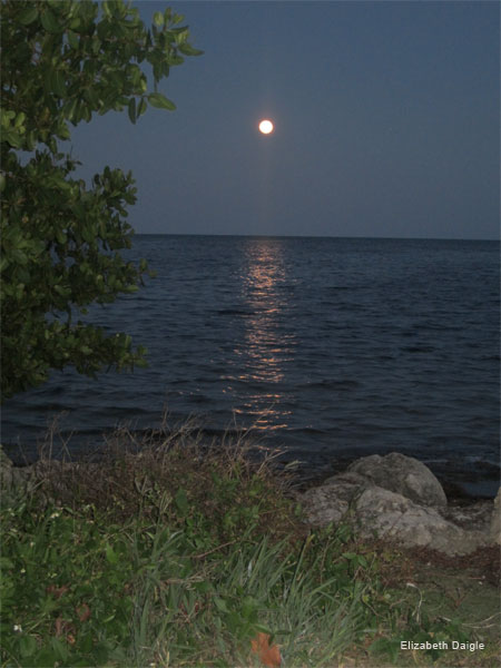 Super Moon, May 5, 2012 by Elizabeth Daigle